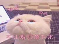 中国移动通信集团贵州有限公司贵阳分公司