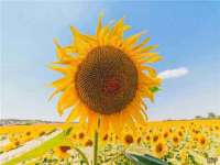 中国移动通信集团贵州有限公司贵阳分公司