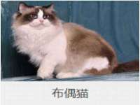 中国移动通信集团贵州有限公司贵阳分公司