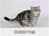 中国移动通信集团贵州有限公司贵阳分公司