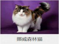 中国移动通信集团贵州有限公司贵阳分公司