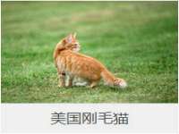 中国移动通信集团贵州有限公司贵阳分公司