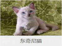 中国移动通信集团贵州有限公司贵阳分公司