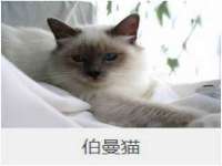 中国移动通信集团贵州有限公司贵阳分公司
