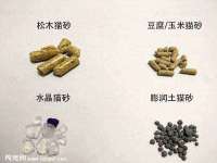 中国移动通信集团贵州有限公司贵阳分公司