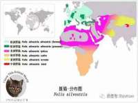 中国移动通信集团贵州有限公司贵阳分公司