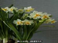 中国移动通信集团贵州有限公司贵阳分公司