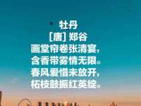 中国移动通信集团贵州有限公司贵阳分公司