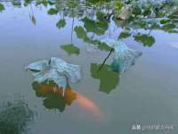 中国移动通信集团贵州有限公司贵阳分公司