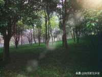 中国移动通信集团贵州有限公司贵阳分公司