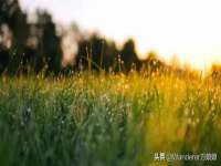 中国移动通信集团贵州有限公司贵阳分公司
