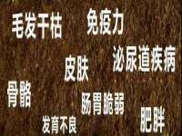 中国移动通信集团贵州有限公司贵阳分公司