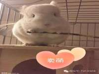中国移动通信集团贵州有限公司贵阳分公司