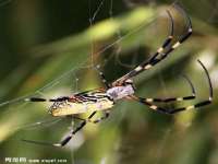 中国移动通信集团贵州有限公司贵阳分公司